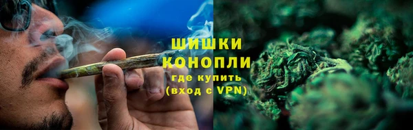 гидра Богданович