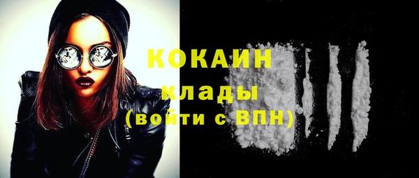 гидра Богданович