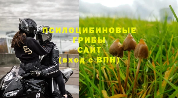 синтетический гашиш Богородск