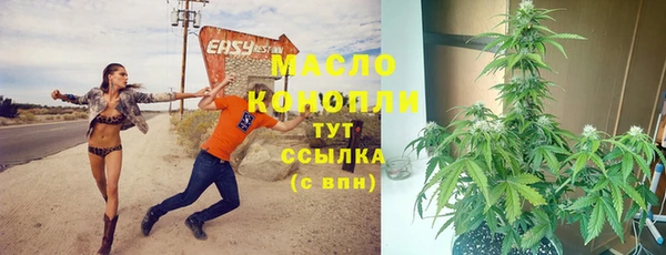гидра Богданович