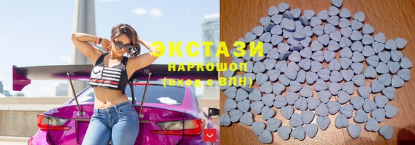 гидра Богданович