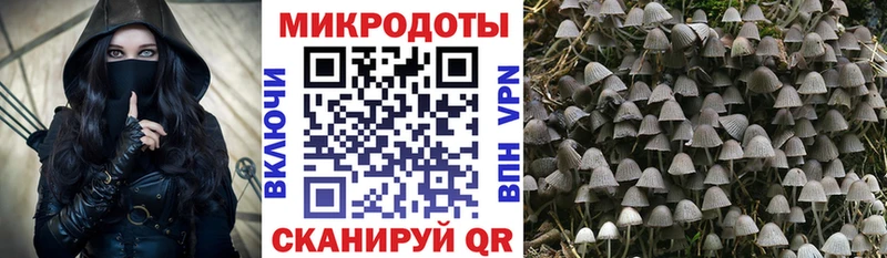 Галлюциногенные грибы мухоморы  кракен tor  Саяногорск 