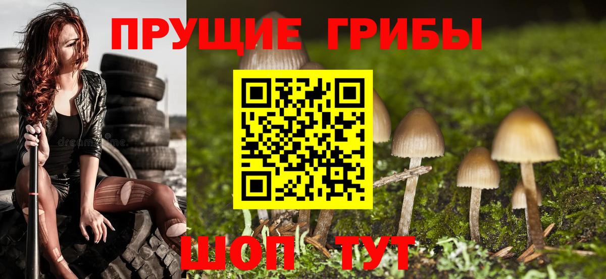 Галлюциногенные грибы Psilocybe  Вход с VPN  Саяногорск  Псилоцибиновые грибы прущие грибы 