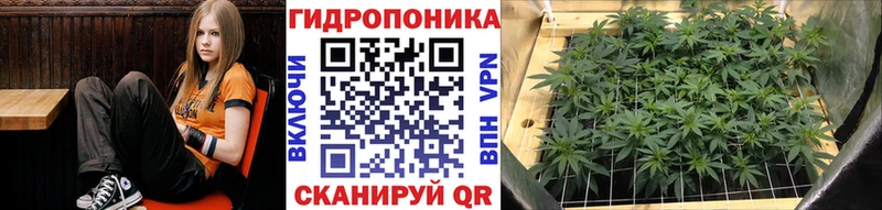 Канабис сатива  Саяногорск 